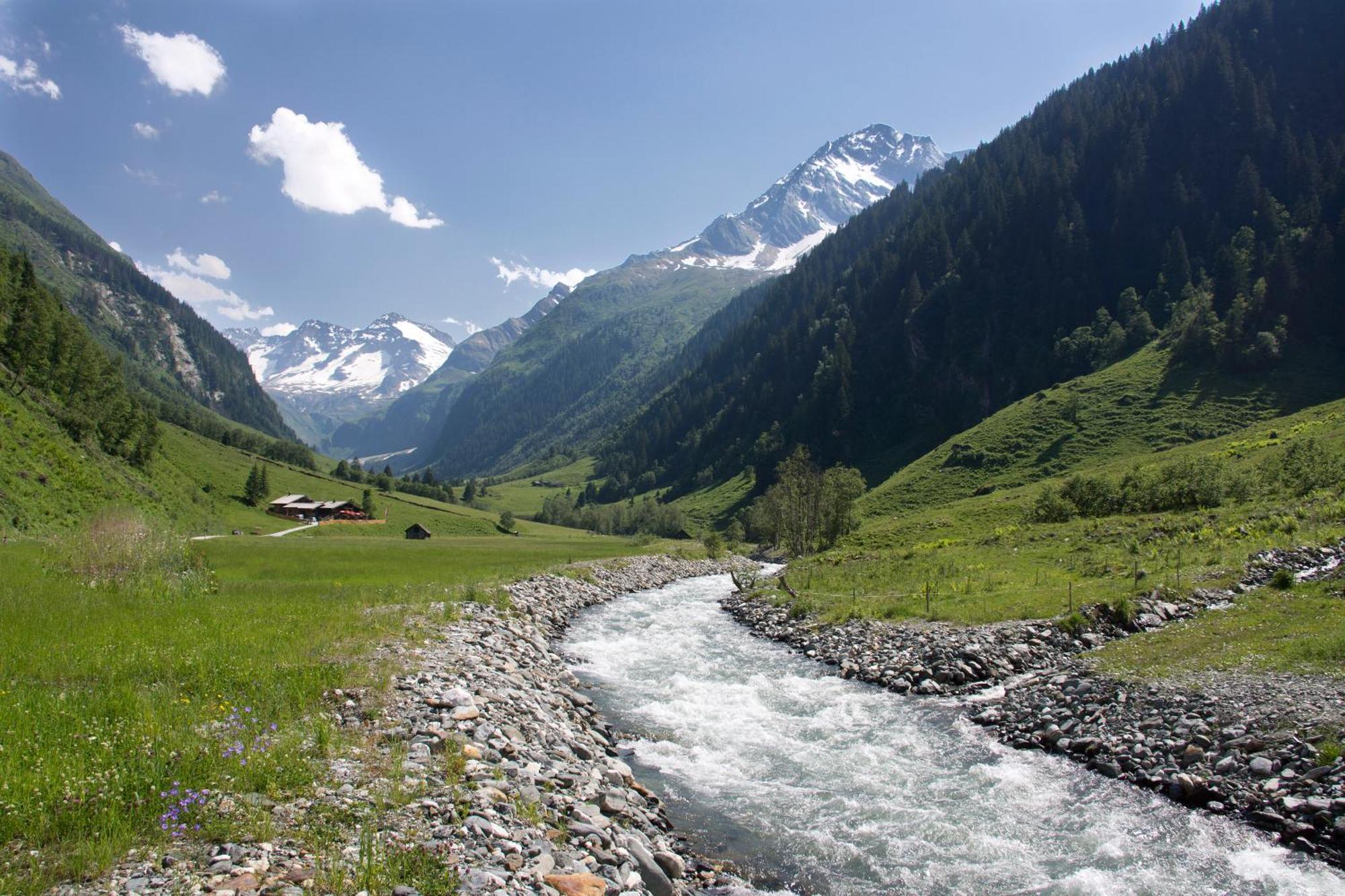 Senninger Alm Bed and Breakfast Hollersbach im Pinzgau Eksteriør billede