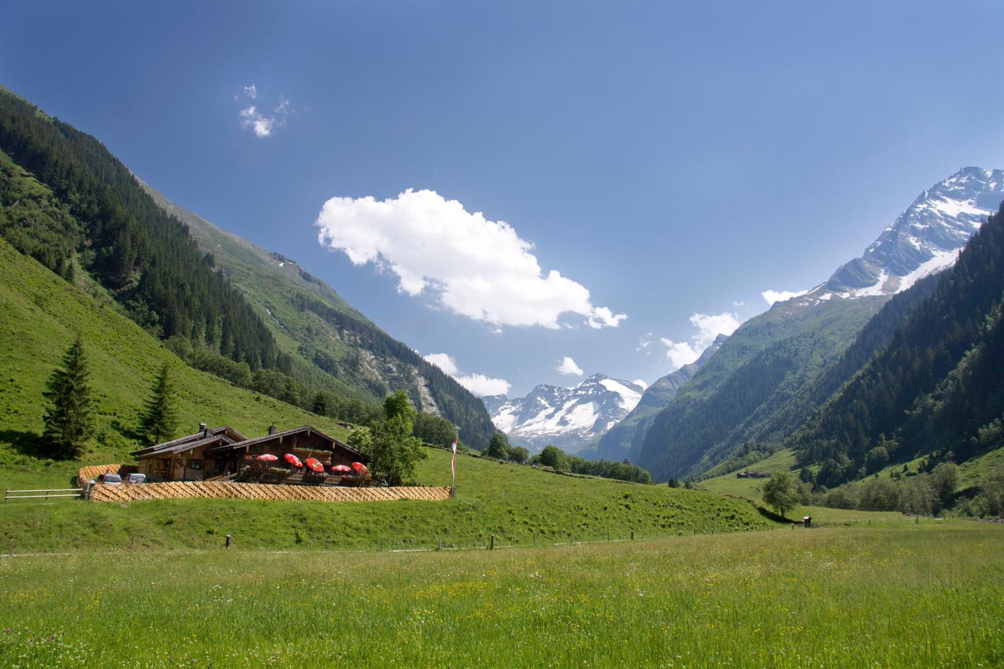 Senninger Alm Bed and Breakfast Hollersbach im Pinzgau Eksteriør billede